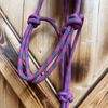 Steele Halter with Lead Rope - Pink/Turquoise