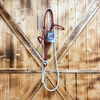 Steele Halter with Lead Rope - Red/Black Stripe