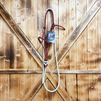 Steele Halter with Lead Rope - Red/Black Stripe