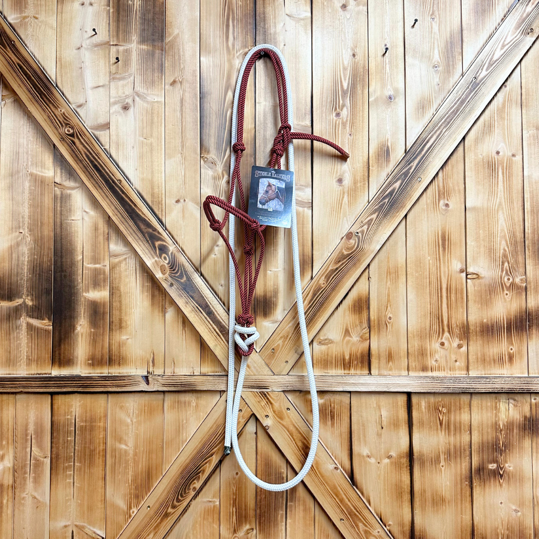 Steele Halter with Lead Rope - Red/Black Stripe