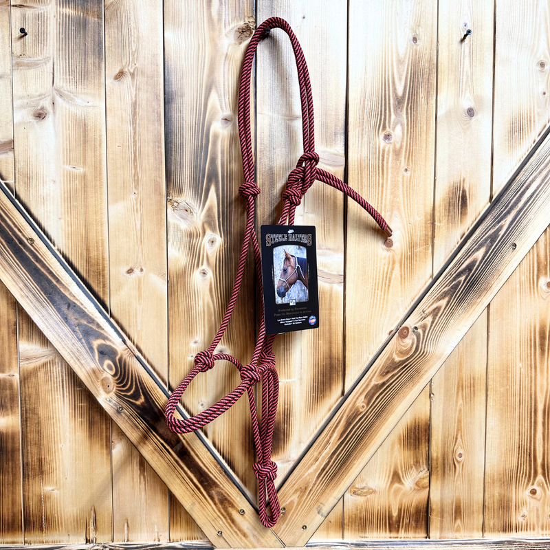 Steele Halter with Lead Rope - Red/Black Stripe