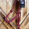 Steele Halter with Lead Rope - Red/Black Stripe