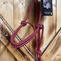 Steele Halter with Lead Rope - Red/Black Stripe