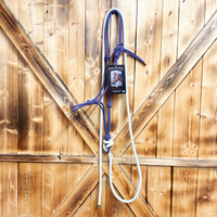 Steele Halter with Lead Rope - Purple/Grey Stripe