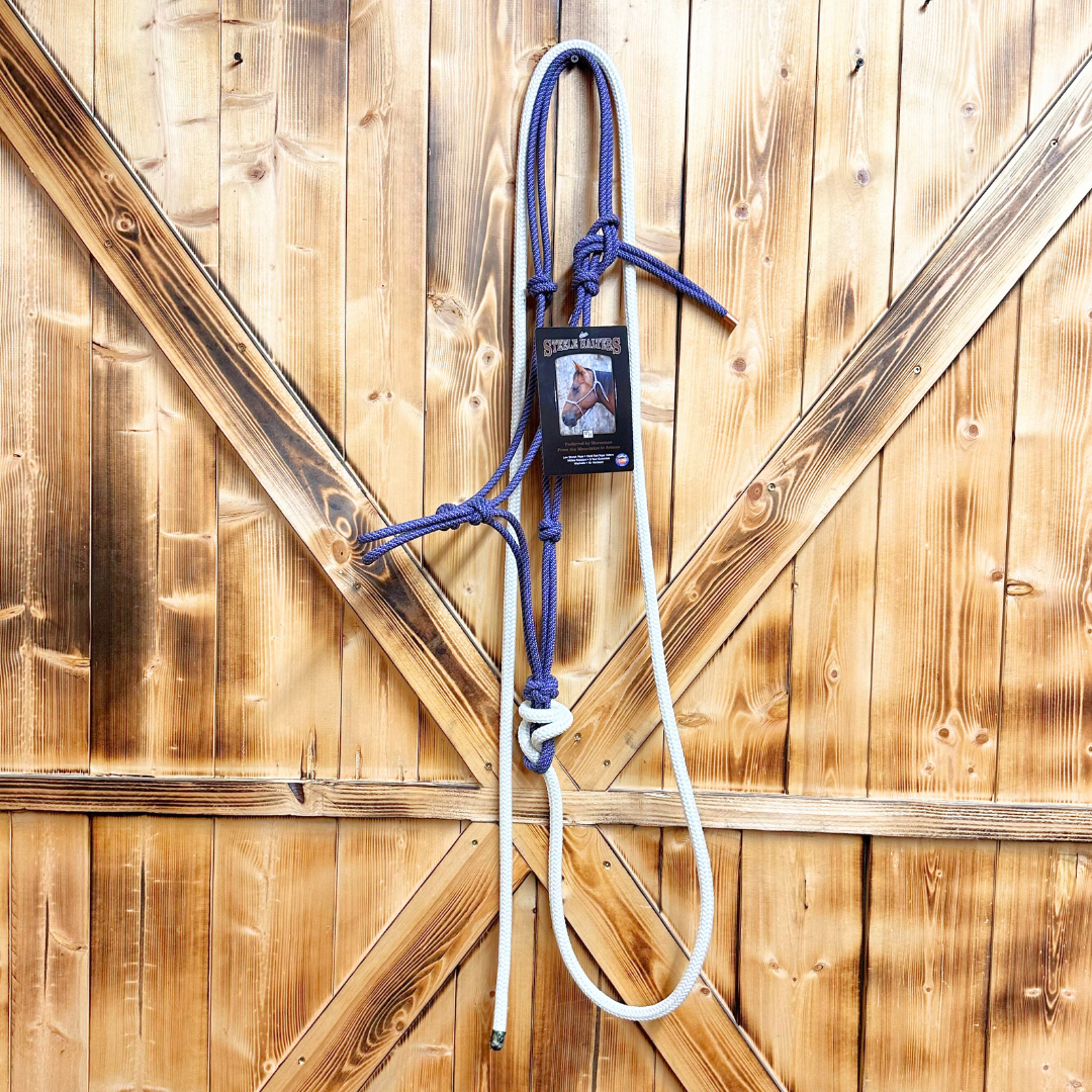 Steele Halter with Lead Rope - Purple/Grey Stripe