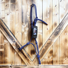 Steele Halter with Lead Rope - Purple/Grey Stripe