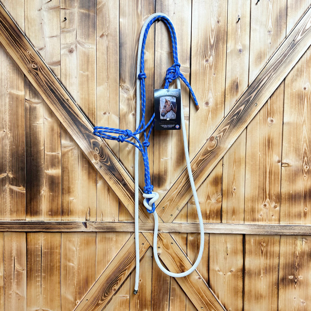 Steele Halter with Lead Rope - Blue/White