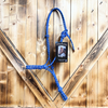 Steele Halter with Lead Rope - Blue/White