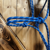 Steele Halter with Lead Rope - Blue/White