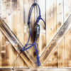 Steele Halter with Lead Rope - Purple/Grey