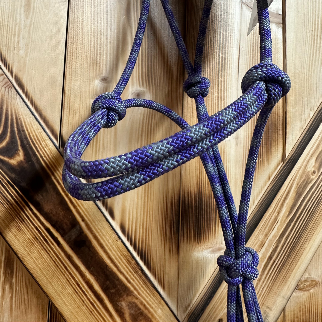 Steele Halter with Lead Rope - Purple/Grey