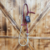 Steele Halter with Lead Rope - Red/Navy