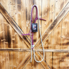 Steele Halter with Lead Rope - Red/White/Blue
