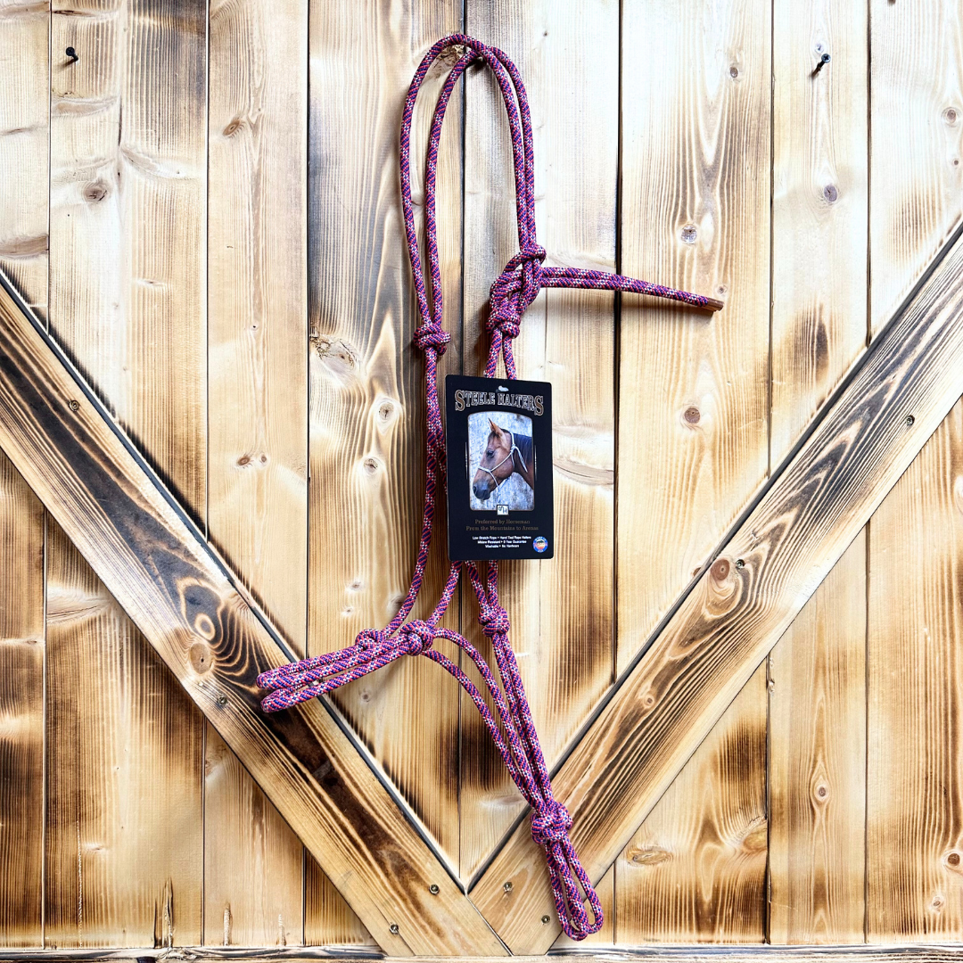 Steele Halter with Lead Rope - Red/White/Blue