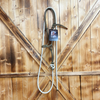 Steele Halter with Lead Rope - Green/Gold