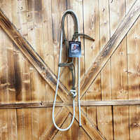 Steele Halter with Lead Rope - Green/Gold