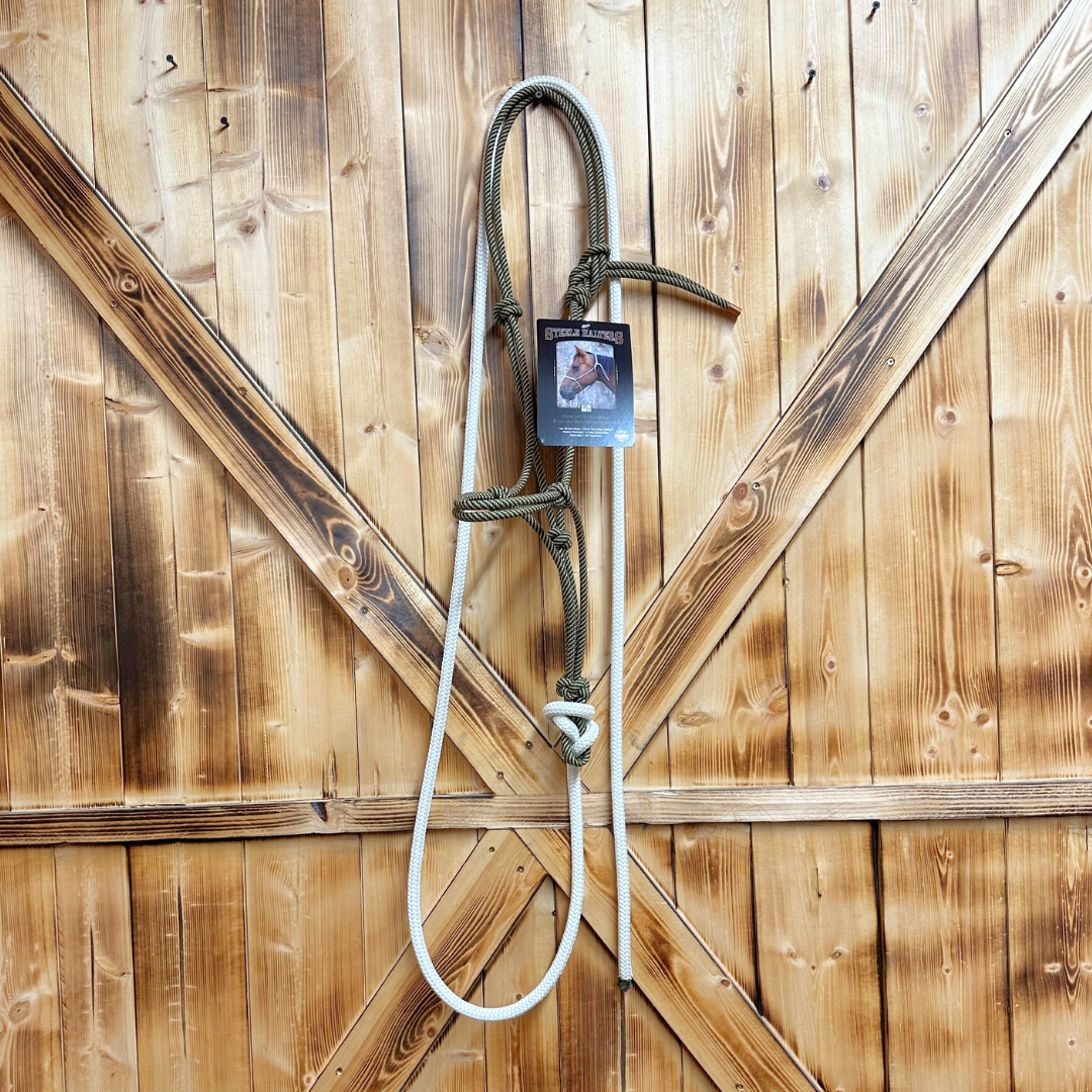Steele Halter with Lead Rope - Green/Gold