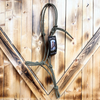 Steele Halter with Lead Rope - Green/Gold