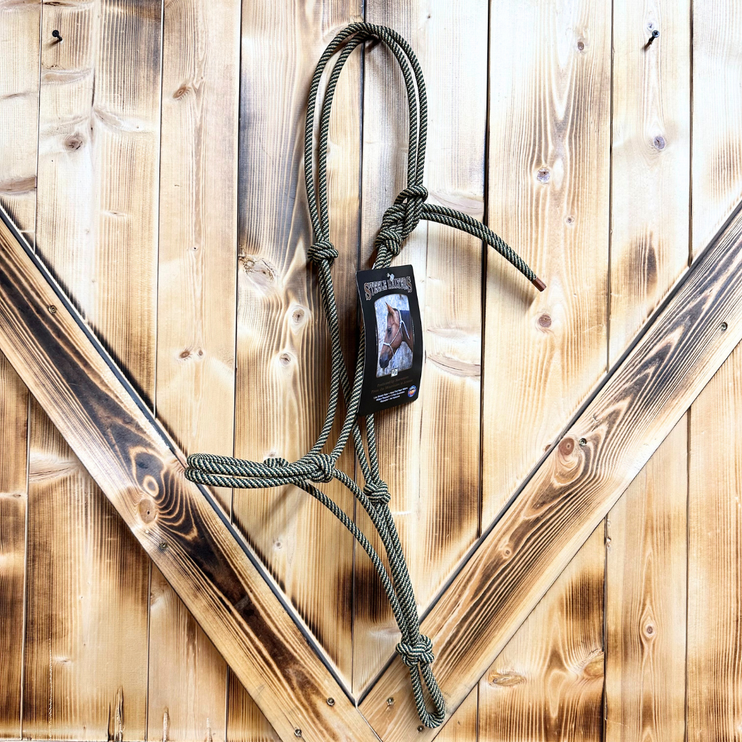 Steele Halter with Lead Rope - Green/Gold