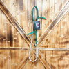 Steele Halter with Lead Rope - Green/White