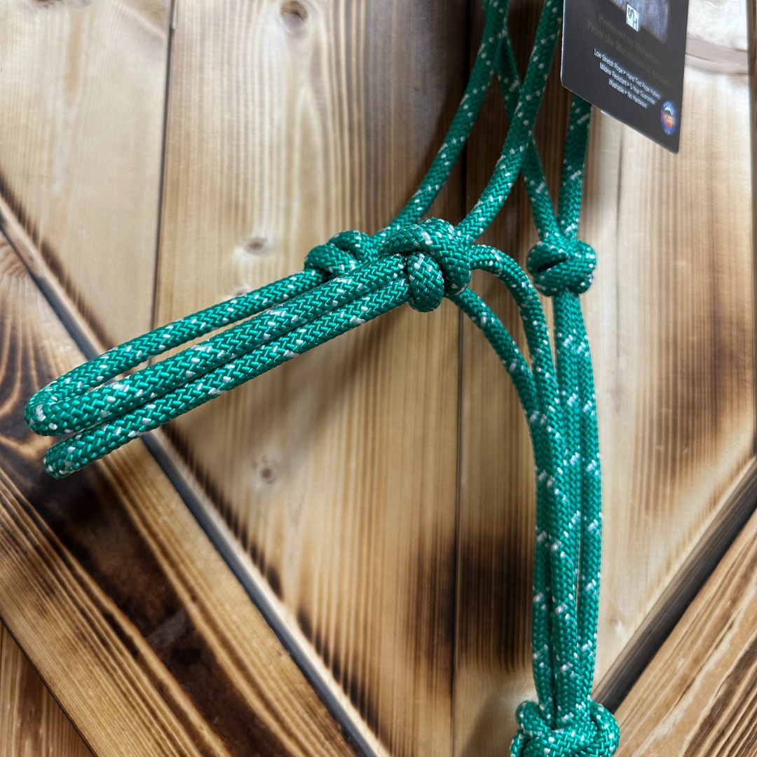 Steele Halter with Lead Rope - Green/White