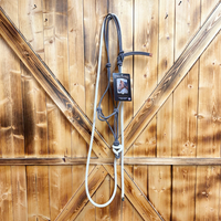 Steele Halter with Lead Rope - Grey