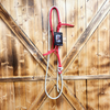 Steele Halter with Lead Rope - Red/White