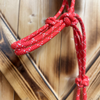 Steele Halter with Lead Rope - Red/White