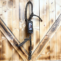 Steele Halter with Lead Rope - Brown/Tan Stripe