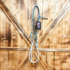 Steele Halter with Lead Rope - Turquoise/Tan