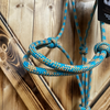 Steele Halter with Lead Rope - Turquoise/Tan