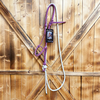 Steele Halter with Lead Rope - Pink/Turquoise