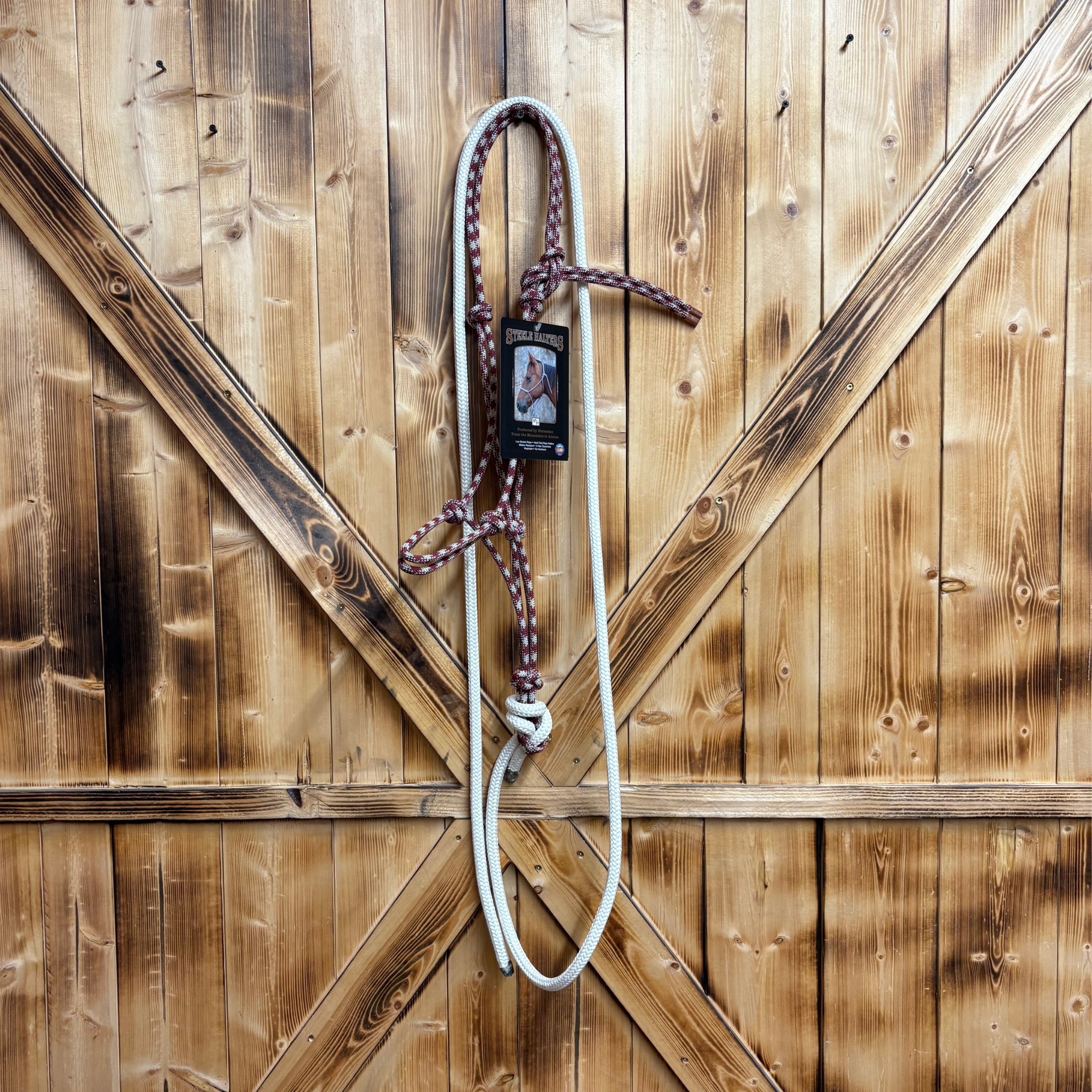 Steele Halter with Lead Rope - Maroon/White