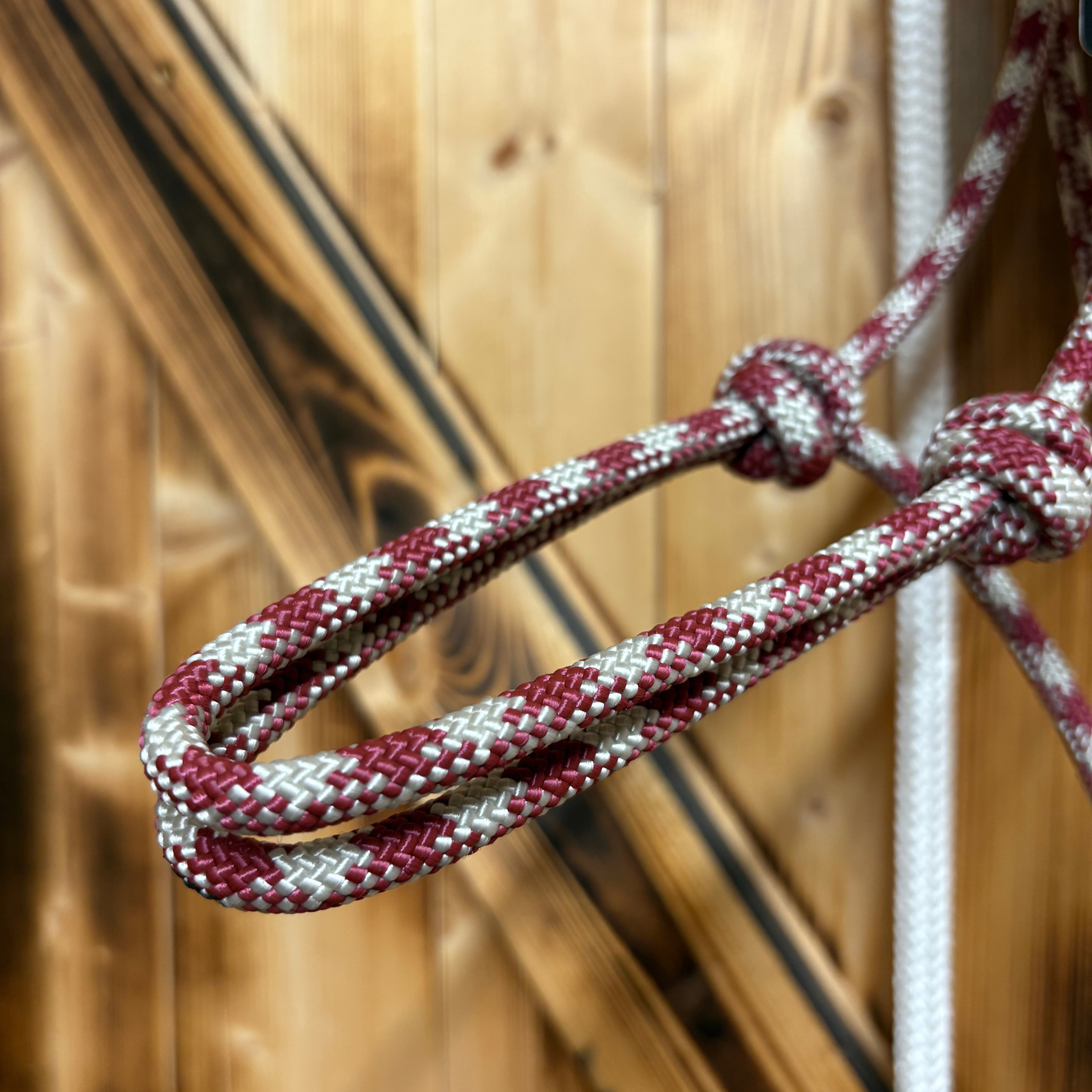 Steele Halter with Lead Rope - Maroon/White